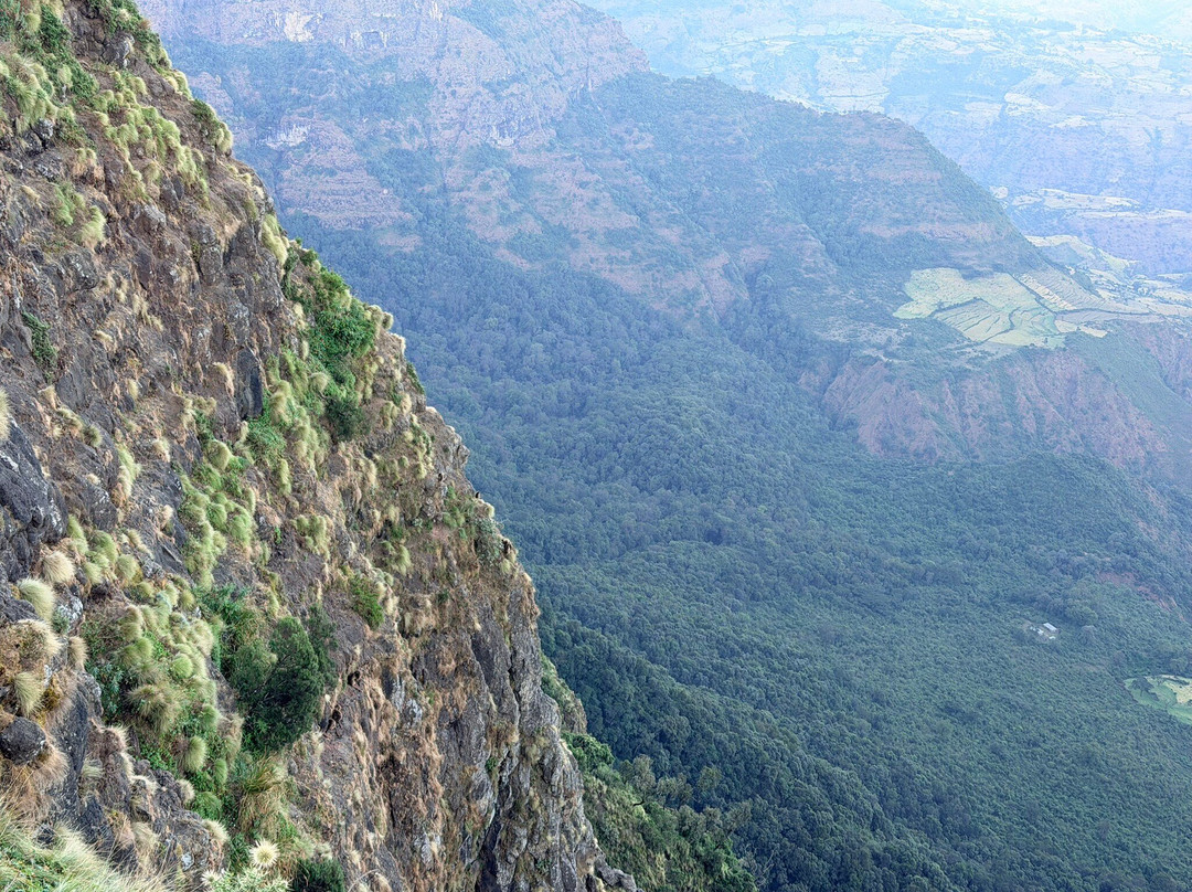 Simien Park Tours-贡德尔必去景点
