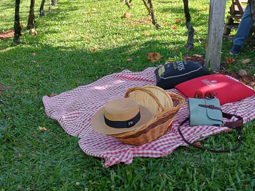 Vinhos Larentis-本图贡萨尔维斯必去景点