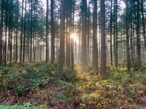 Fletcher Hotel-Restaurant Mooi Veluwe-浴室
