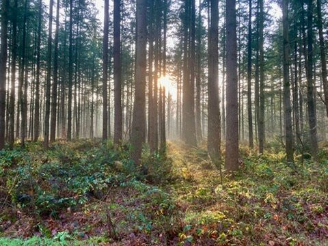 Fletcher Hotel-Restaurant Mooi Veluwe主图