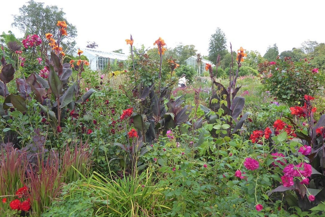 Botanical Gardens-斯温西必去景点
