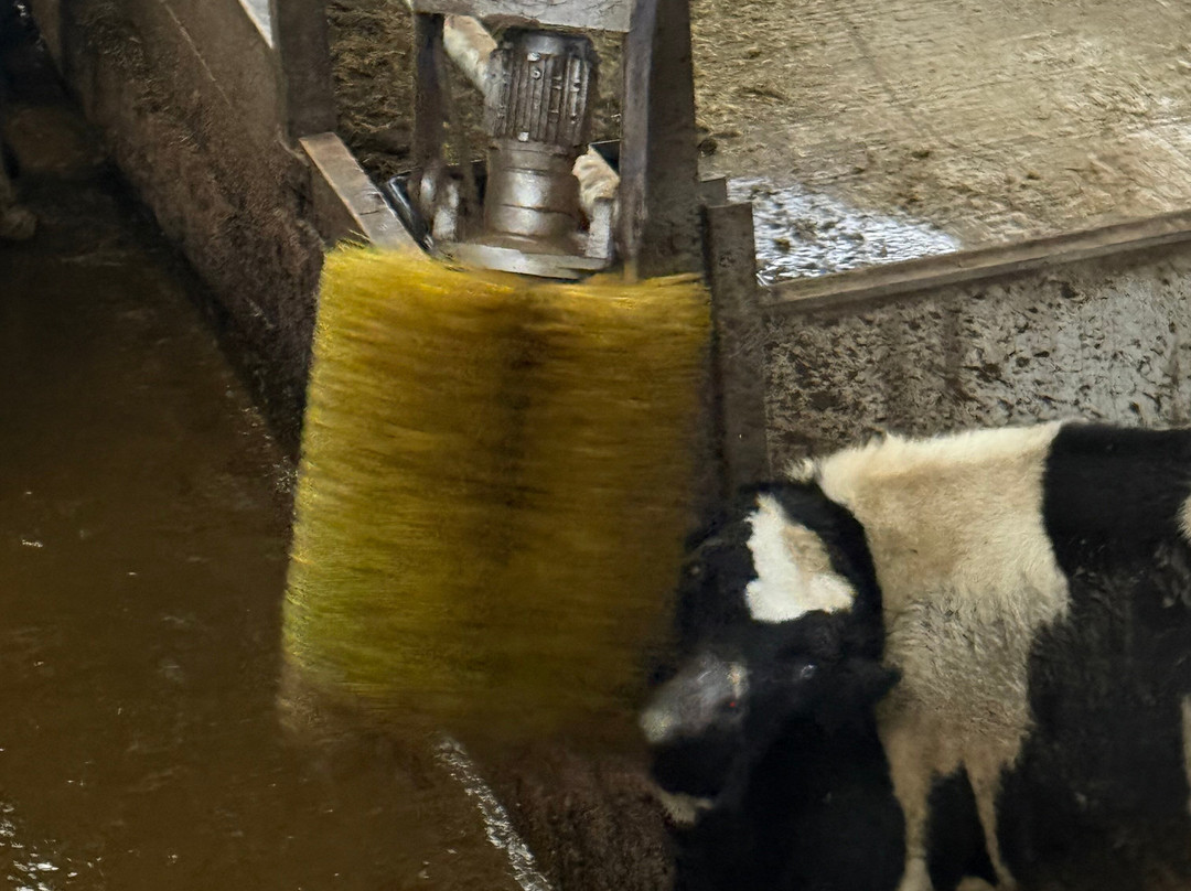 Mrs Dowsons农场-Clayton le Dale必去景点