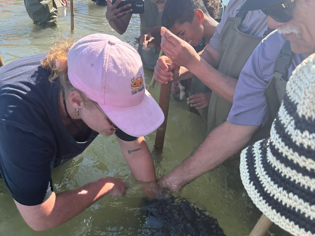 Dive Tatapouri-Gisborne Region必去景点