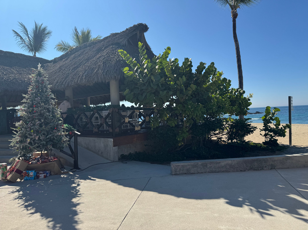 Playa Bacocho-埃斯孔迪多港必去景点