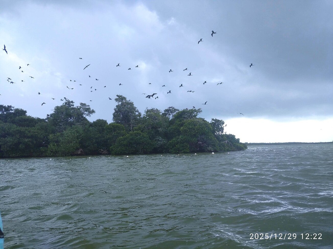 Blue Caribe-艾库玛尔必去景点