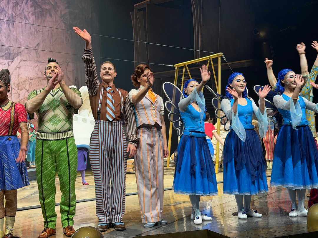 Drawn to Life by Cirque du Soleil-奥兰多必去景点