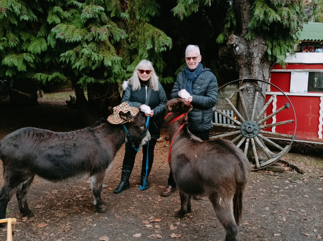 Huckleberry Woods-Faversham必去景点