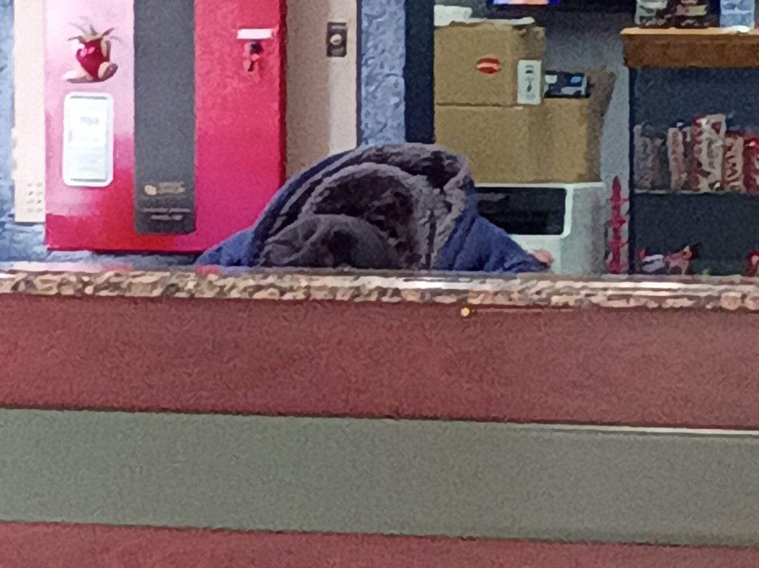 Microtel Inn & Suites主图