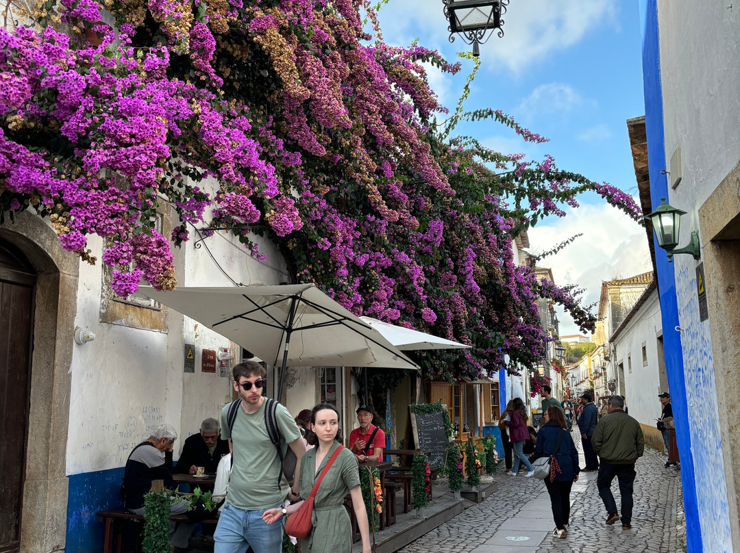 Luxury Tours-里斯本必去景点