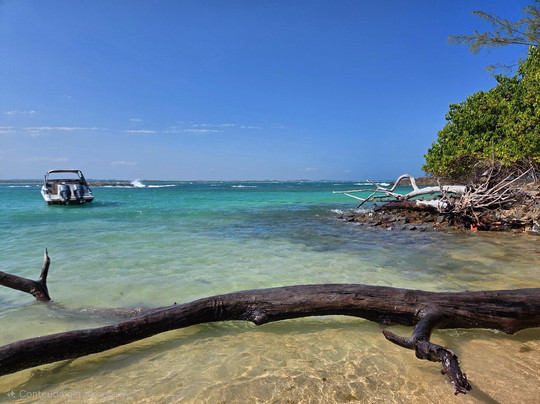 Ilha de Santo Aleixo-Sirinhaem必去景点