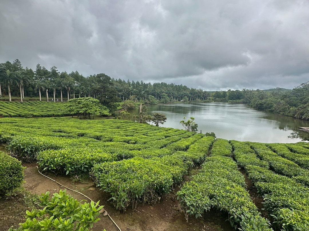 Isa Mauritius-格兰高伯必去景点