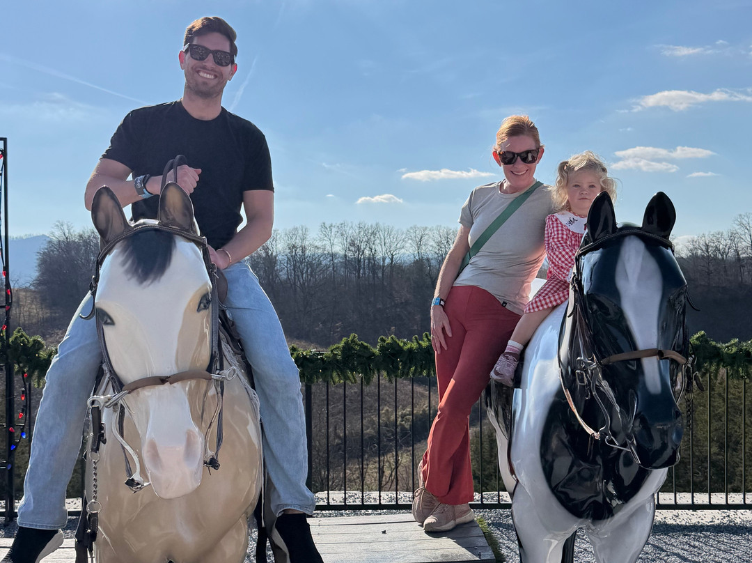 SkyLand Ranch-塞维尔维尔必去景点