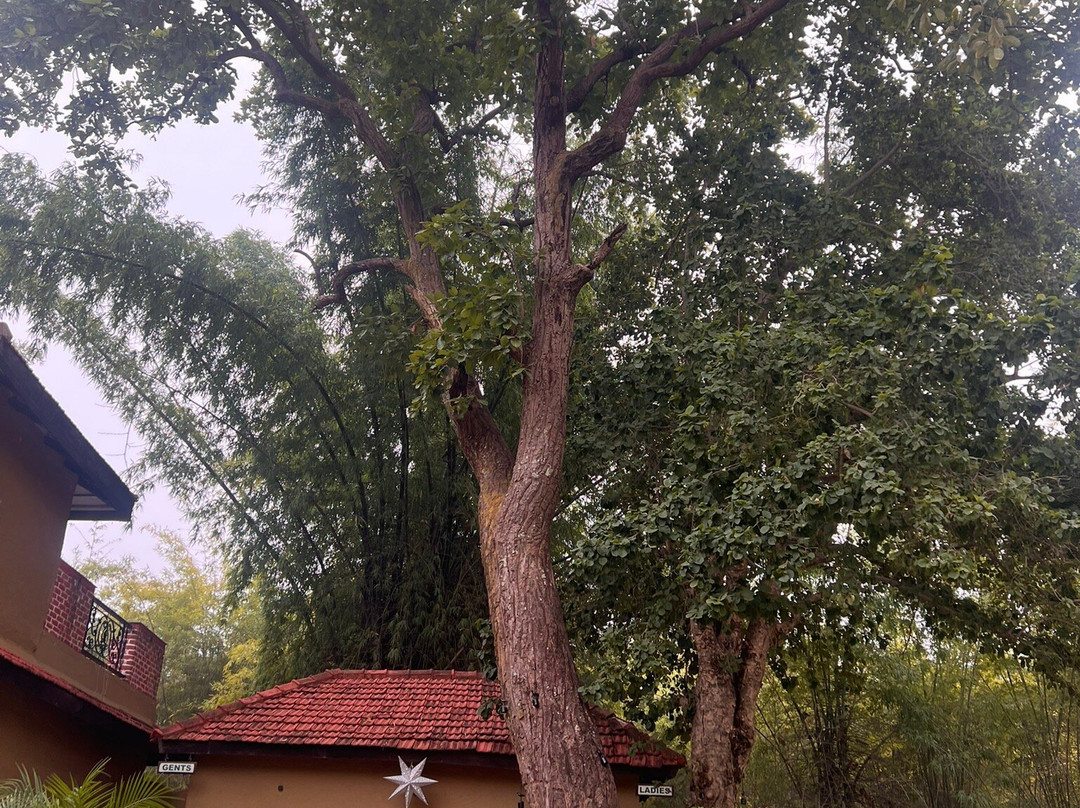 咆哮的萨尔温县乡下小屋主图