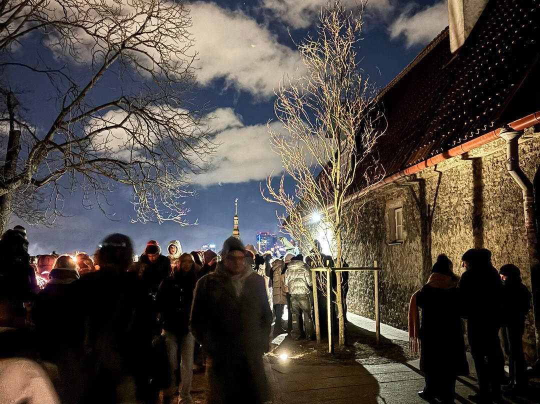 Viewing Point Kohtuotsa-塔林必去景点