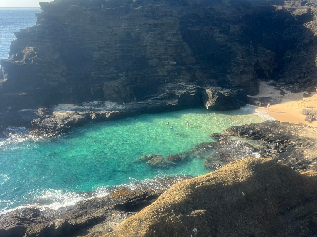 ALLSTAR TRANSPORTATION & TOURS LLC-瓦胡岛必去景点