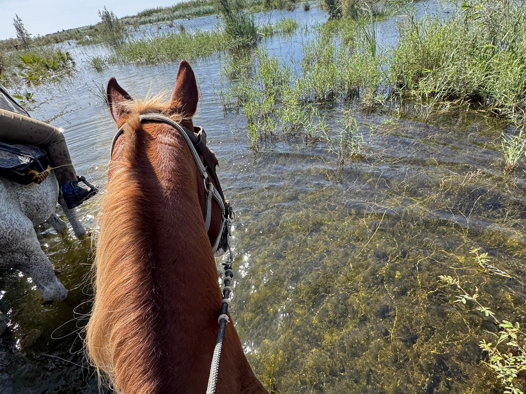 Rancho Animas-Animas Bajas必去景点