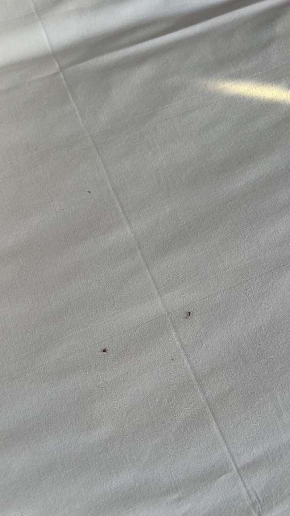 Club Hotel Regina e Fassa-官方