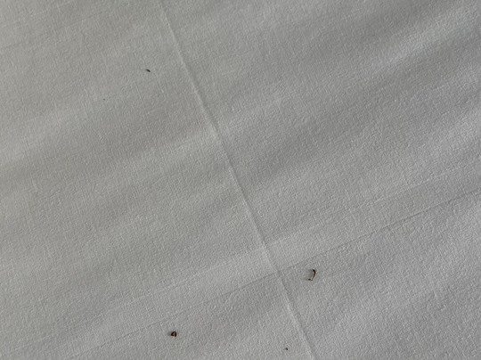 Club Hotel Regina e Fassa主图