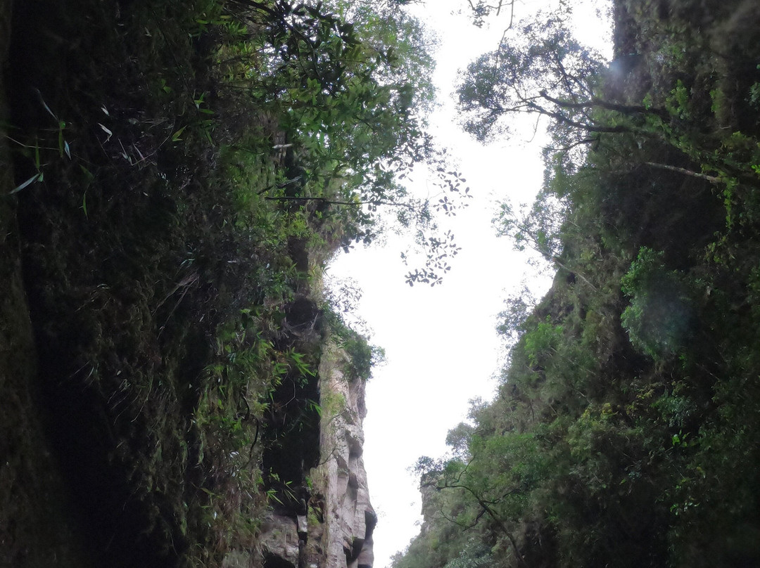 Adventurous Friends-Jaguariaiva必去景点