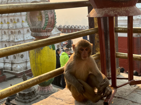 Icicles Adventure Treks & Tours-加德满都必去景点