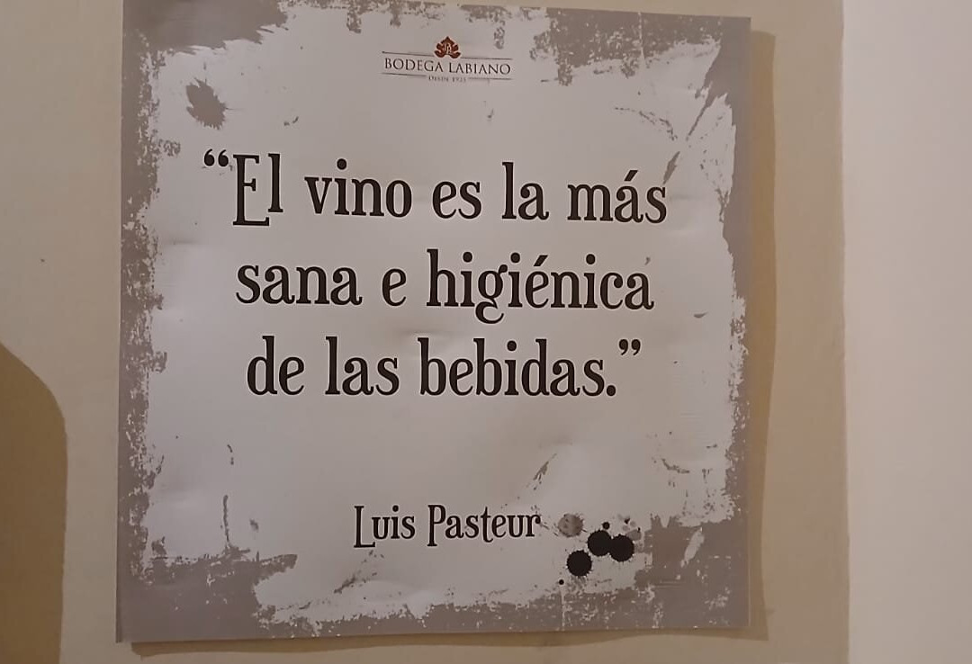 Bodega Labiano-圣拉斐尔必去景点