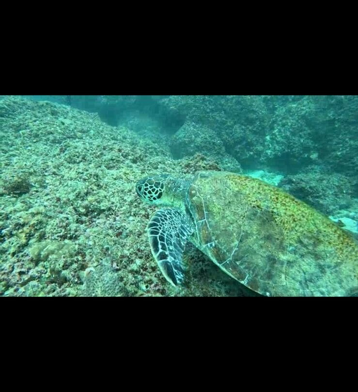 Reef Oasis Diving Center | Fujairah-Al Aqah必去景点