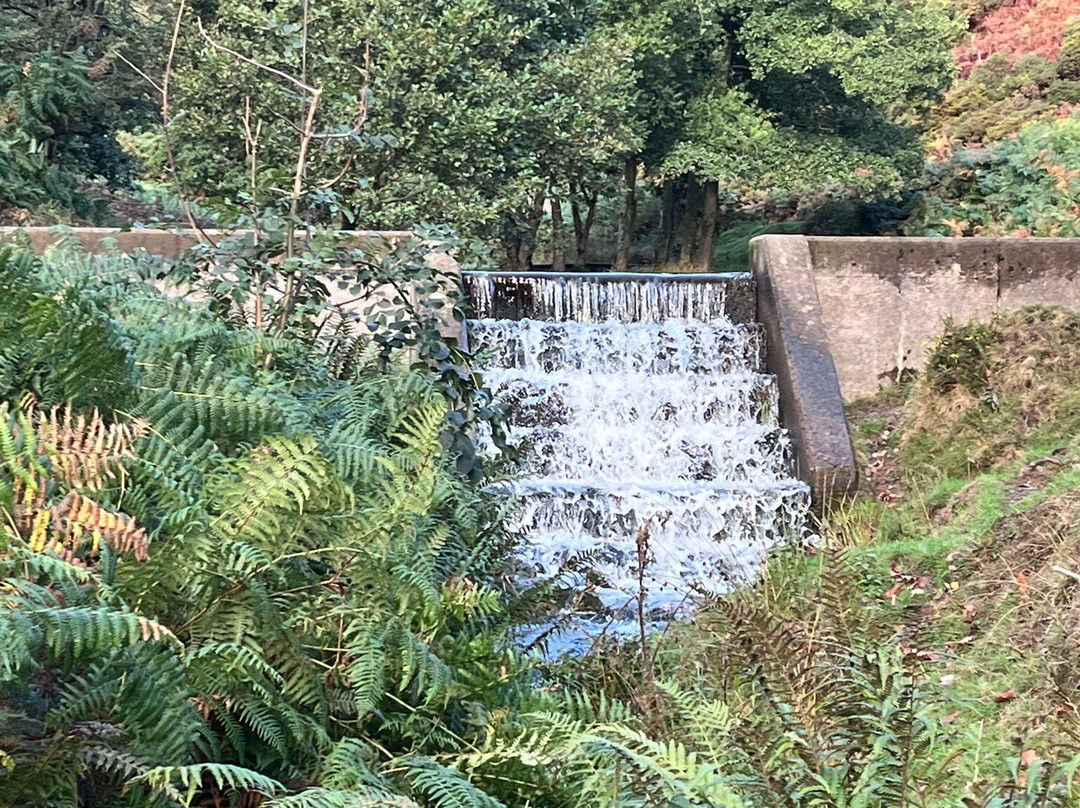 The Long Mynd-Church Stretton必去景点