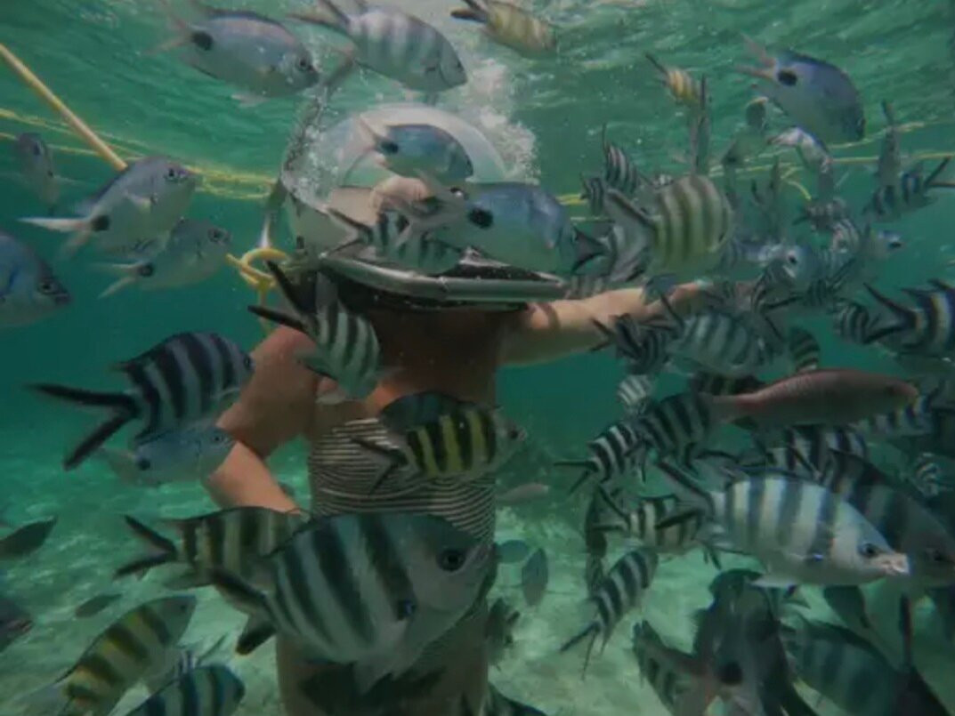 水上乐园-贝尔马尔必去景点