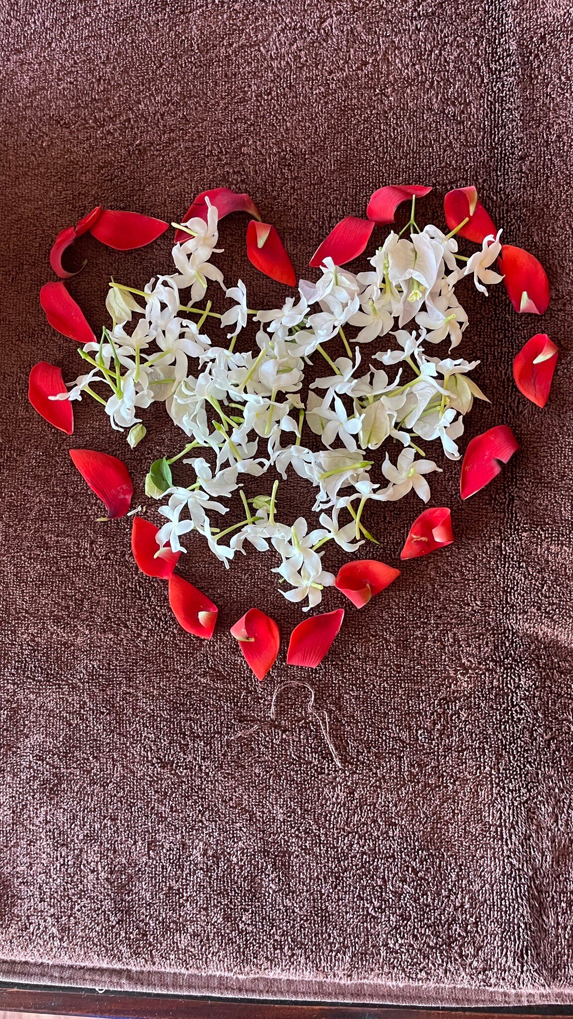 Karunakarala Ayurveda Resort-官方