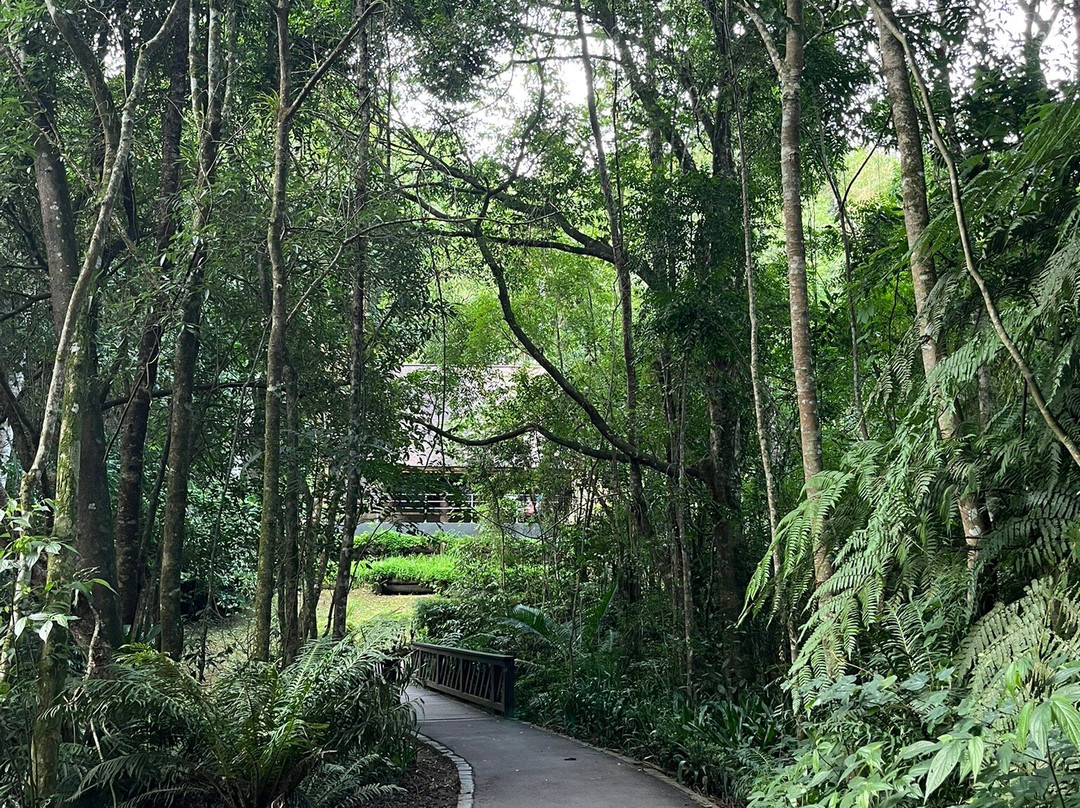 Bosque Alemão-库里提巴必去景点