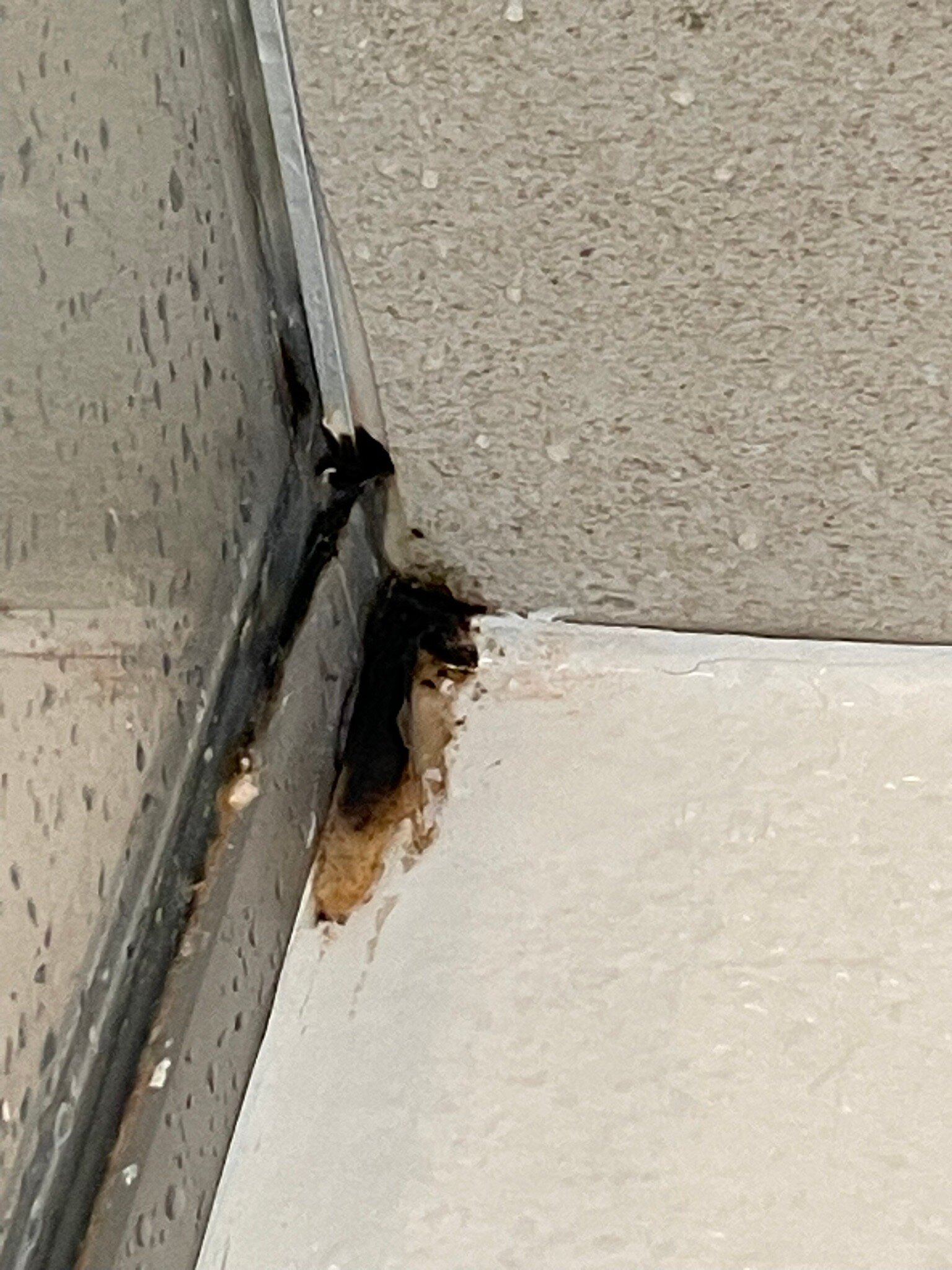 Suites Hotel Astor-官方