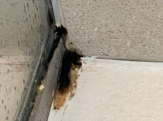 Suites Hotel Astor主图