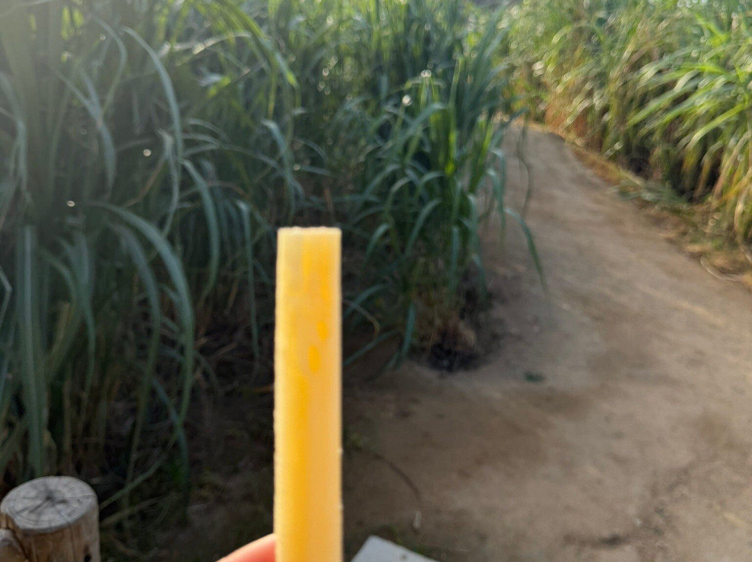 Alto Vista Winery-Noord必去景点