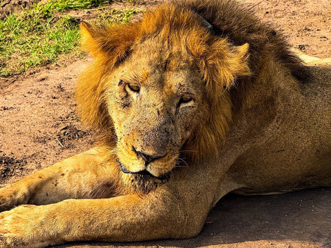 Unveil Uganda safaris-恩德培必去景点