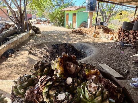 WSE Travel-瓦哈卡必去景点