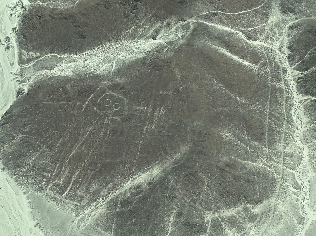 Hotel Melia Lima主图