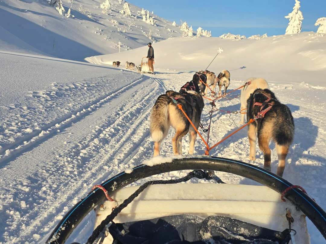 Fjallaventyr-Salen必去景点