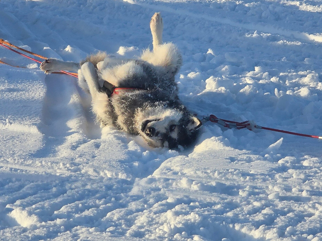 Fjallaventyr-Salen必去景点