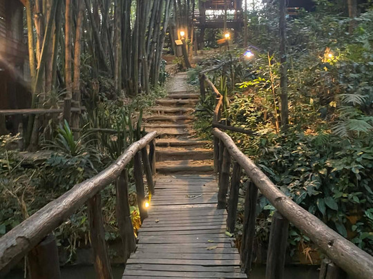 拉比昂帕萨克树屋度假村主图