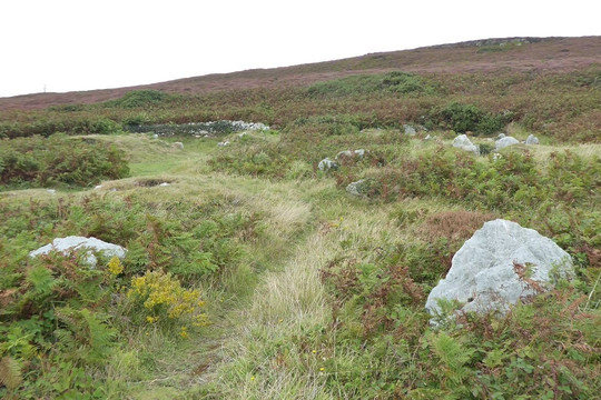 Holyhead Mountain Prehistoric Village-Holyhead必去景点