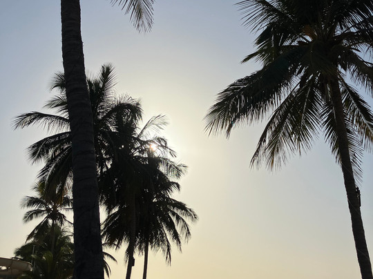 Buba's Gambia - Tours-塞瑞库达必去景点