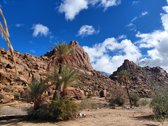 Abdoul Agadir-阿加迪尔必去景点