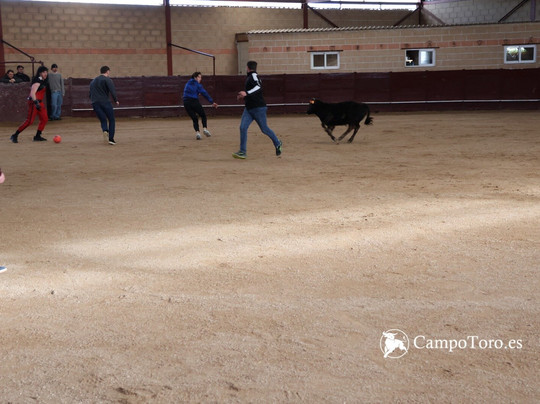 CampoToro-马德里必去景点