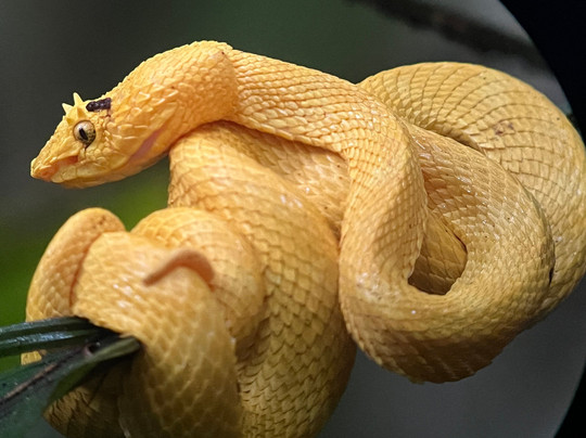 Costa Rica Focus-圣何塞必去景点