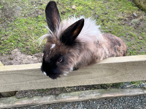 All Things Wild-Honeybourne必去景点