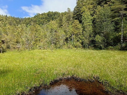 Parque Llenquimau-Puelo必去景点