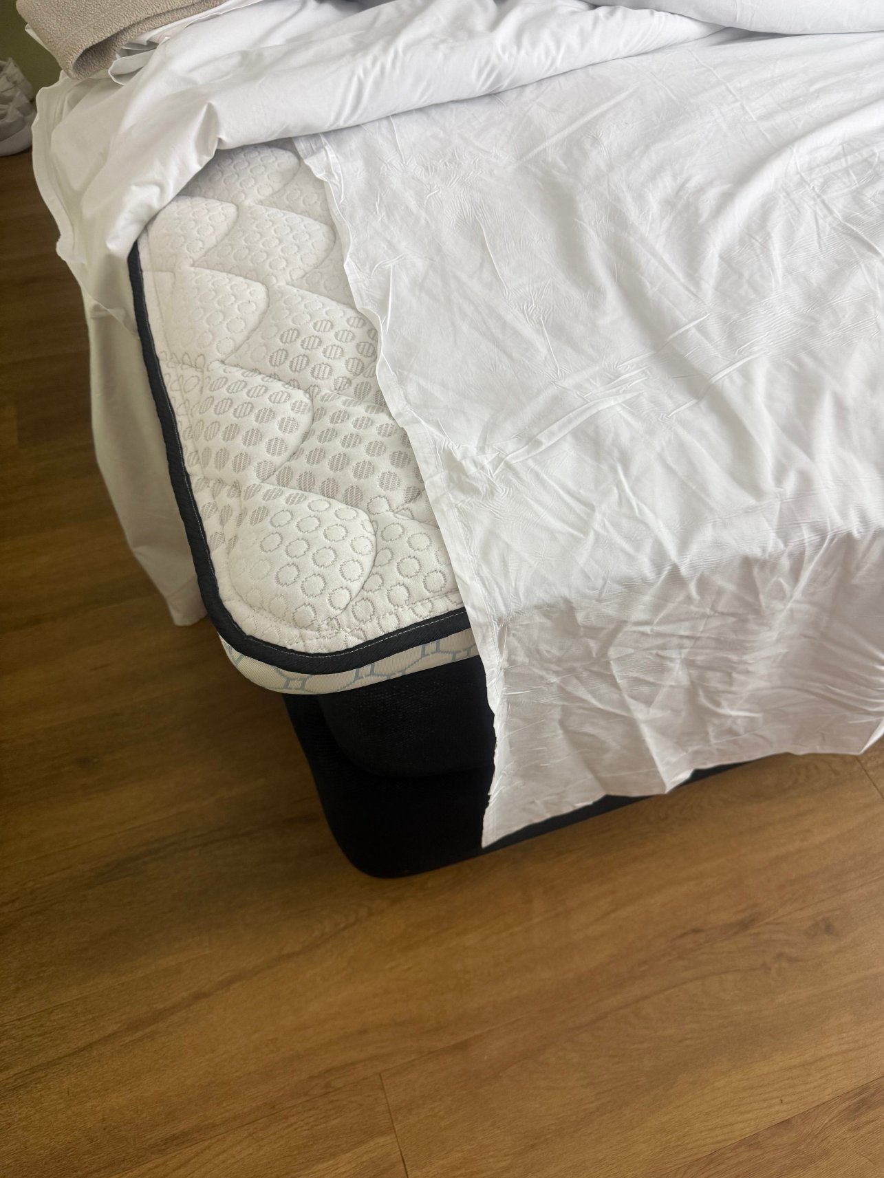 圣彼得一级方程式汽车旅馆-客卧