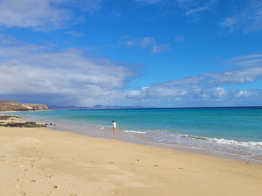 Marina Playa Suites主图