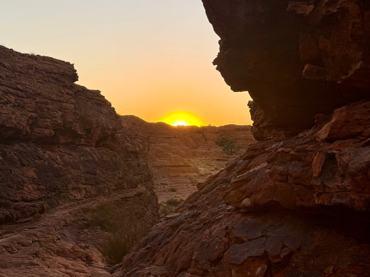 Mulgas Adventures-爱丽斯泉必去景点