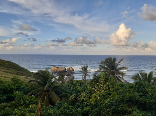 ECO Lifestyle & Lodge主图